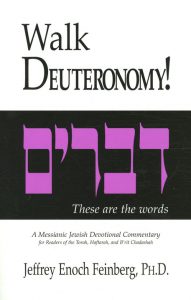 Walk Deuteronomy Book