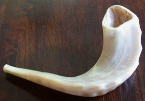 Picture of a Shofar
