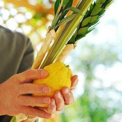 Sukkot for Believers in Yeshua