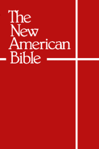 Cover of the New American Bible