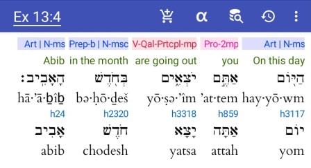 Exodus 13:4 Interlinear